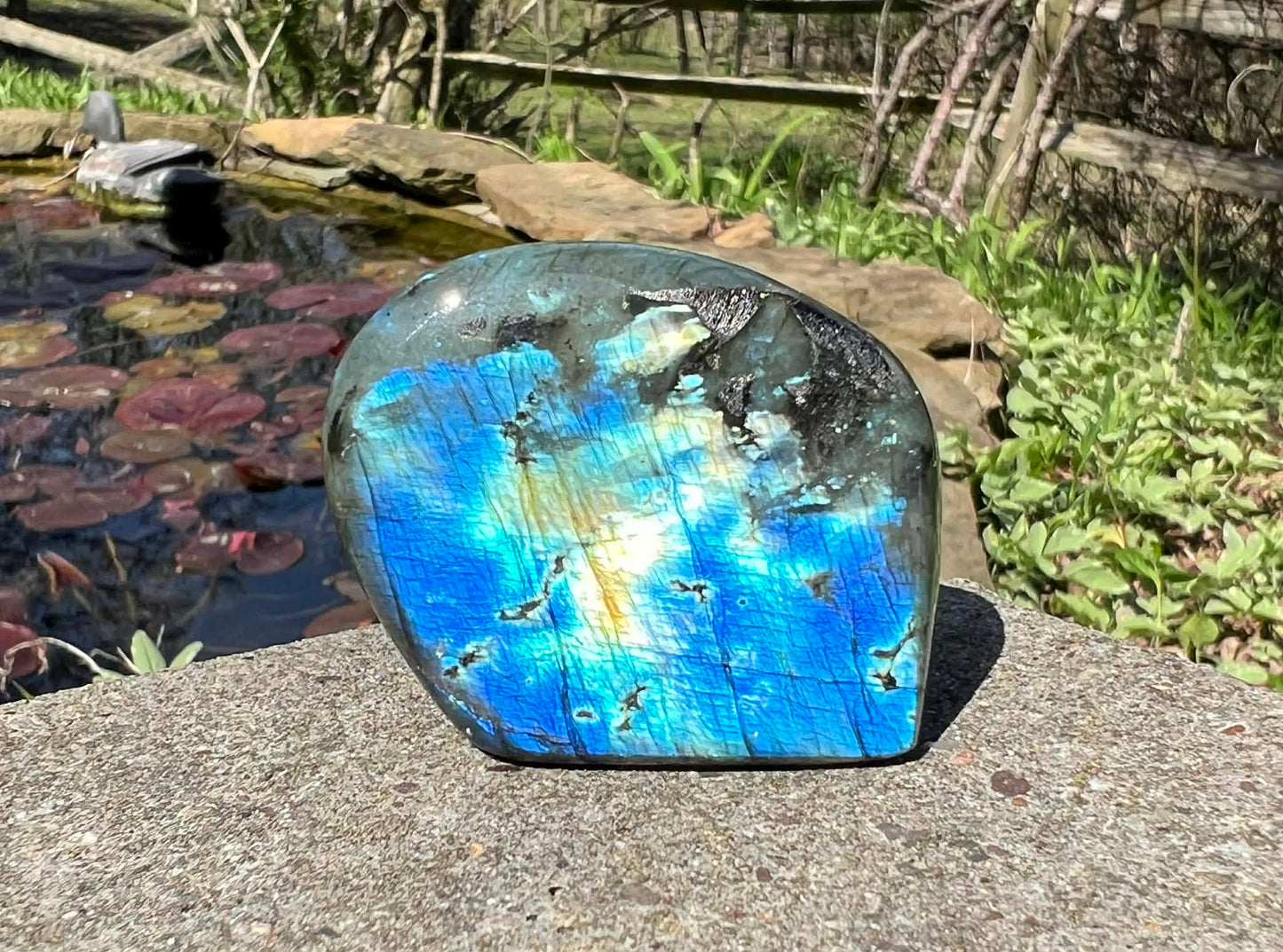 Labradorite Freeform - Mini - Gem Realm 