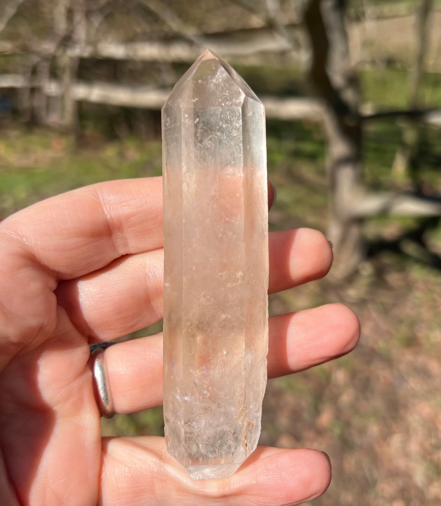 Double Terminated Quartz Point - Gem Realm 