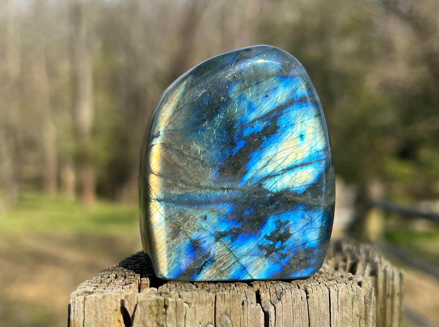 Labradorite Freeform - Gem Realm 