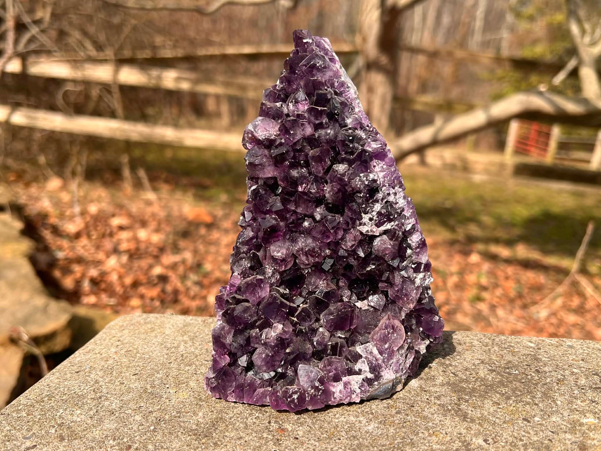 Amethyst Geode - Gem Realm 