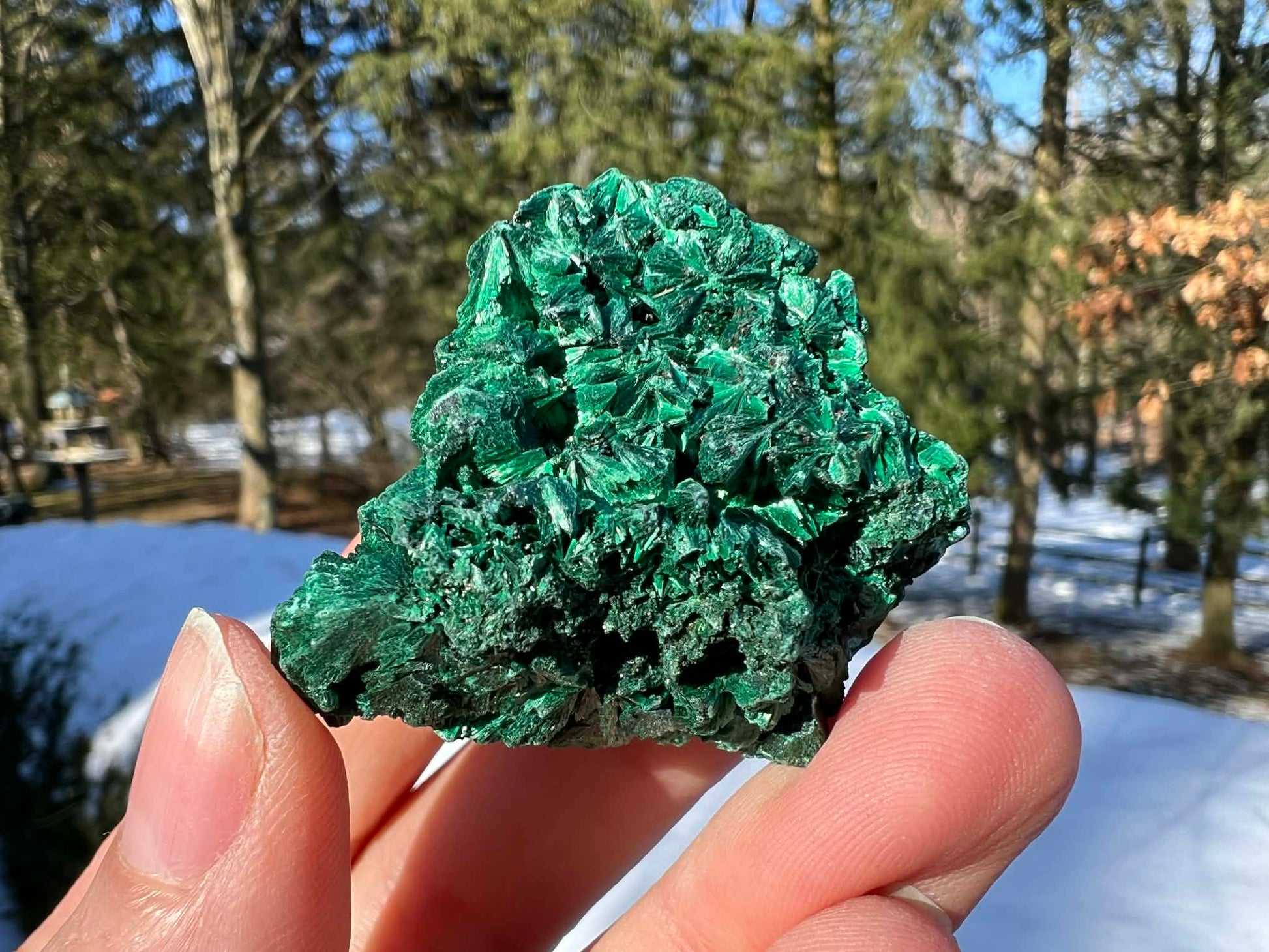 Silk Malachite Specimen #17 - Gem Realm 