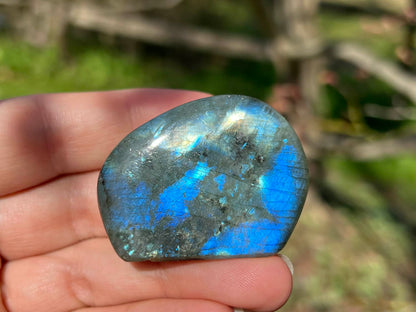 Labradorite Freeform - Mini - Gem Realm 