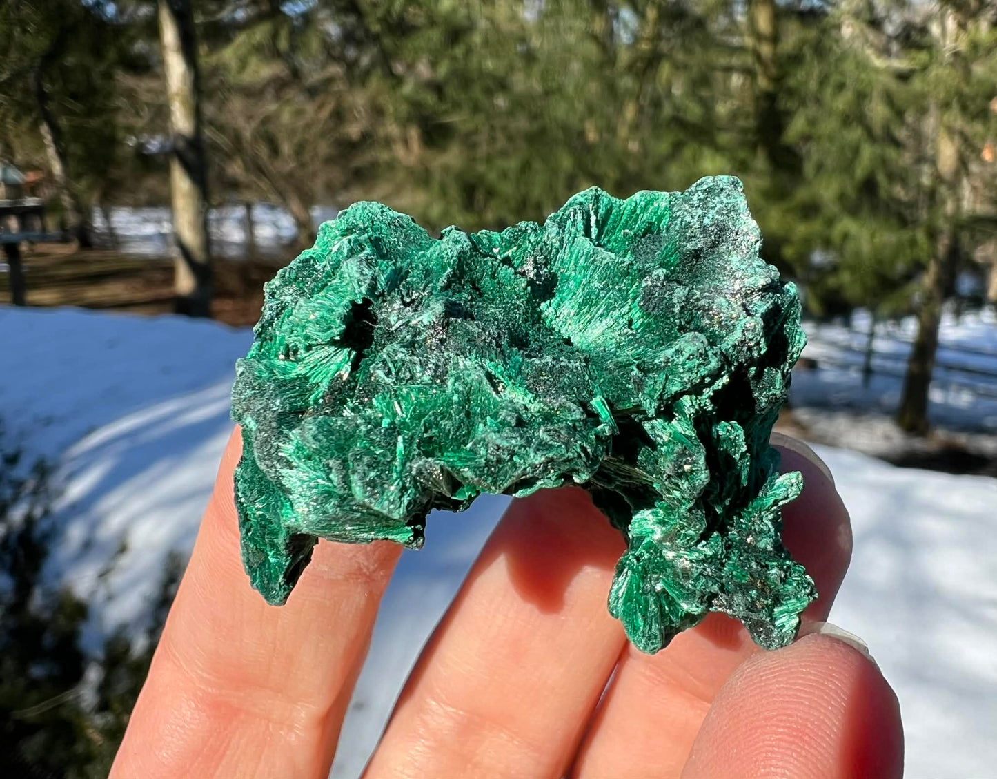 Silk Malachite Specimen #13 - Gem Realm 