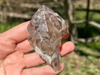 Smoky Elestial Quartz Specimen #9 - Gem Realm 