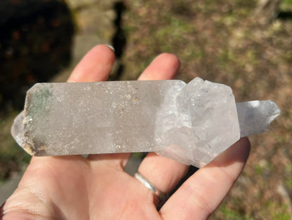 Quartz Crystal Specimen ~ with Chlorite - Gem Realm 
