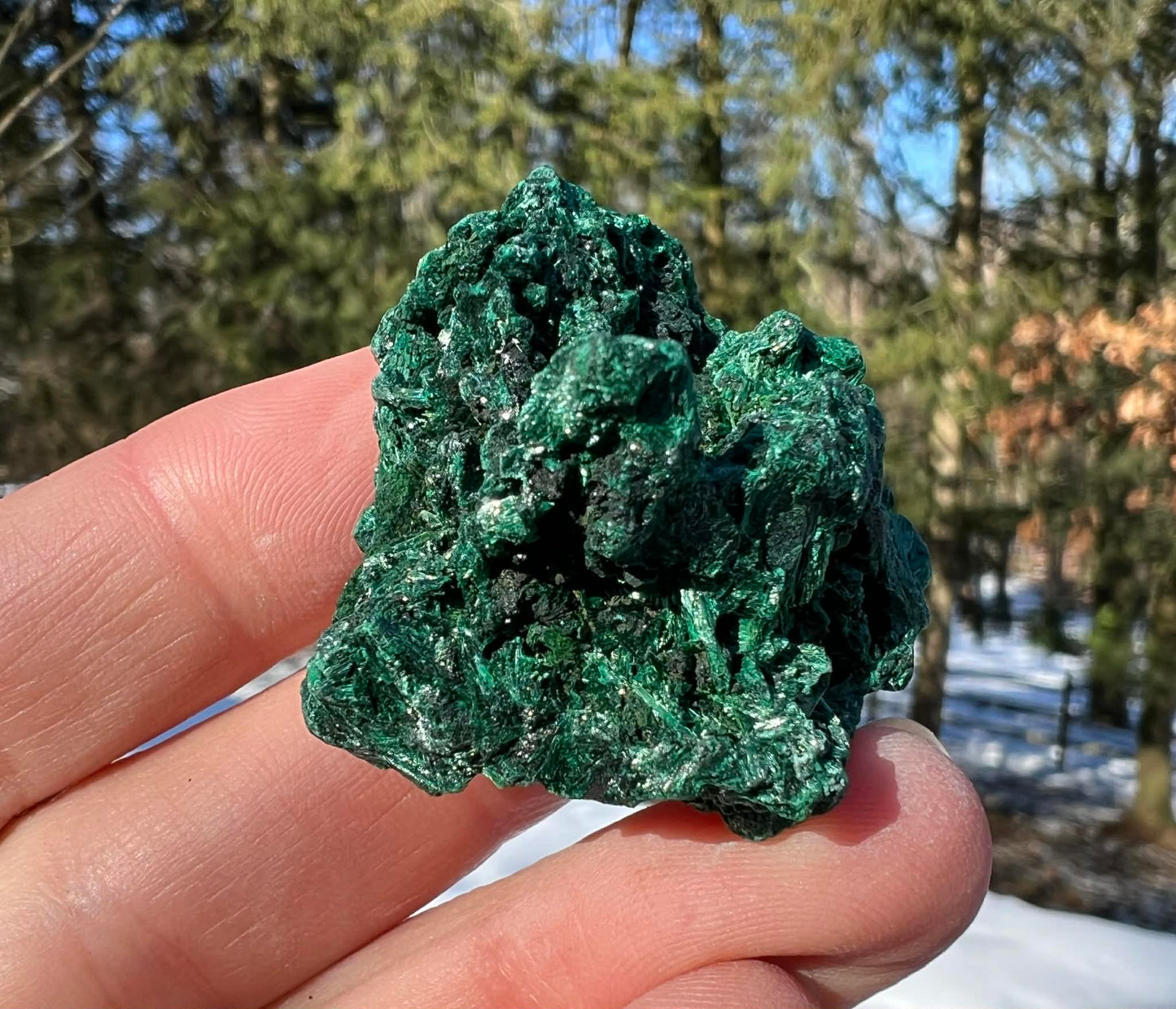 Silk Malachite Specimen #21 - Gem Realm 