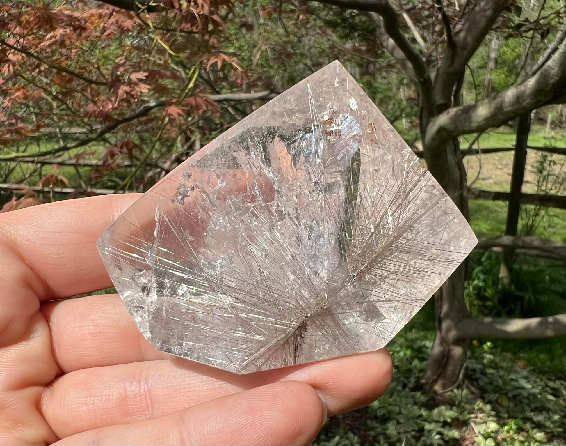 Rutilated Quartz Freeform - Gem Realm 