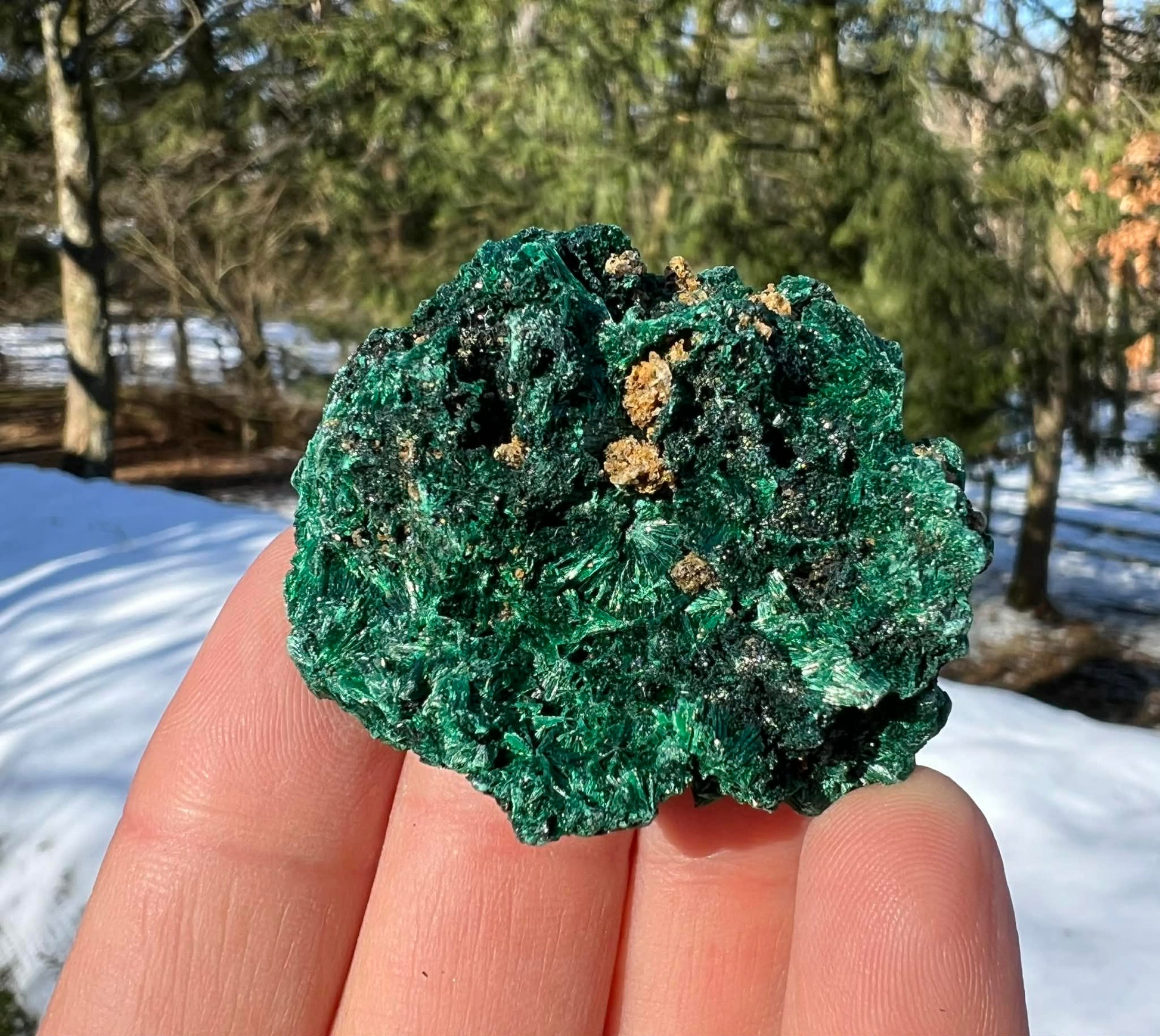 Silk Malachite Specimen #16 - Gem Realm 