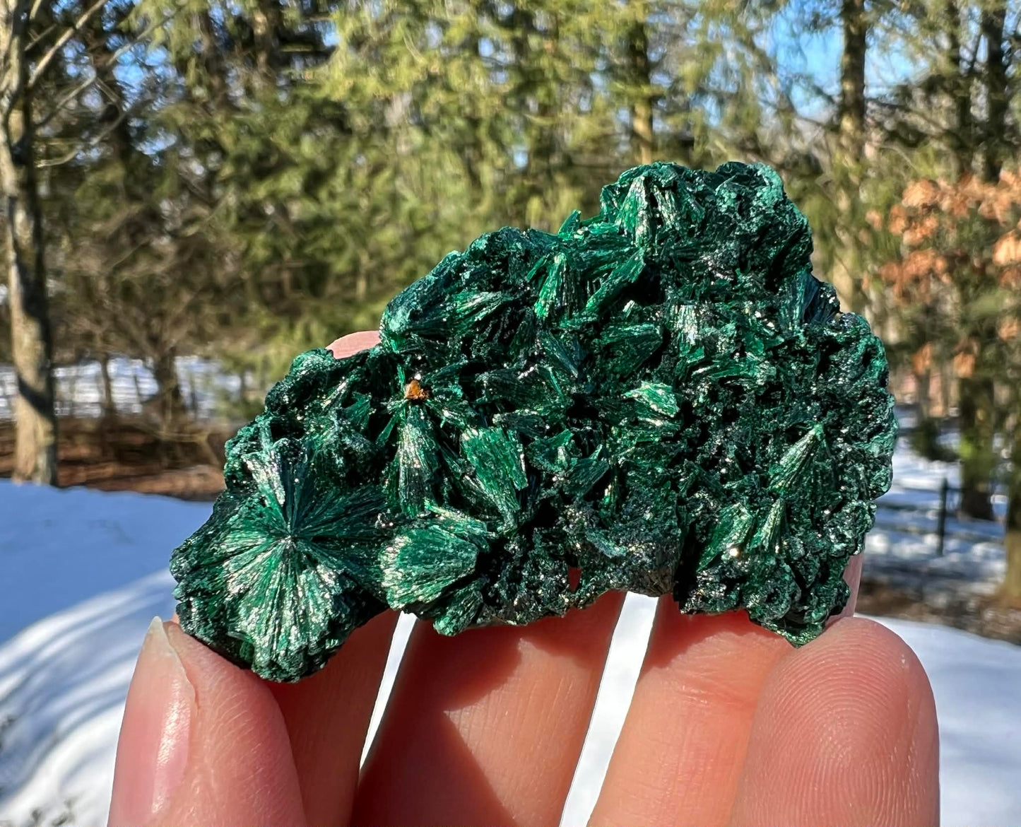 Silk Malachite Specimen #19 - Gem Realm 