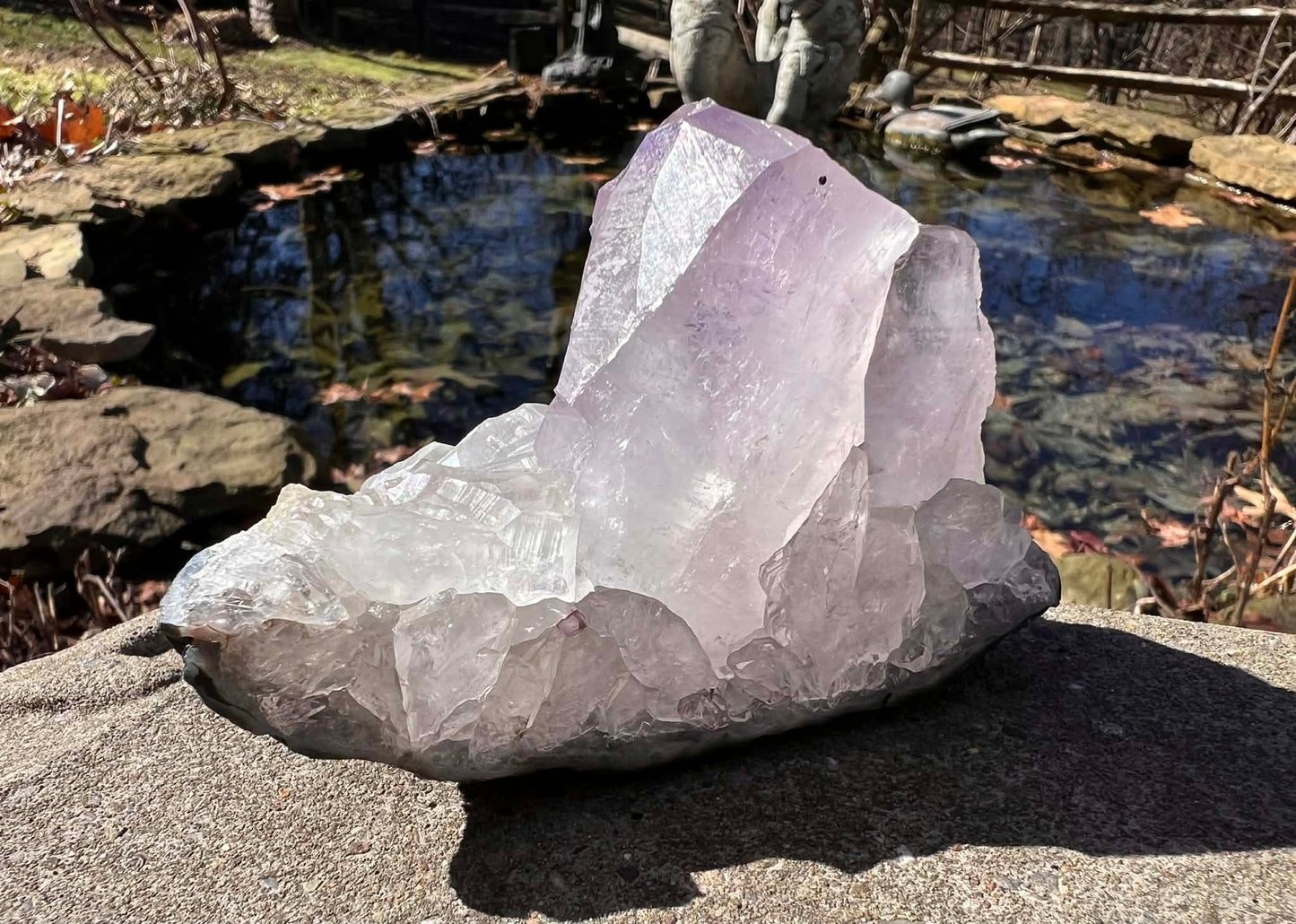 Amethyst Cluster Specimen ~ Brazil