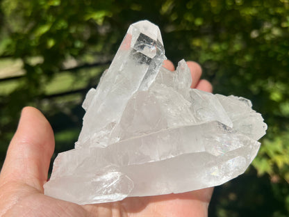 Quartz Crystal Cluster