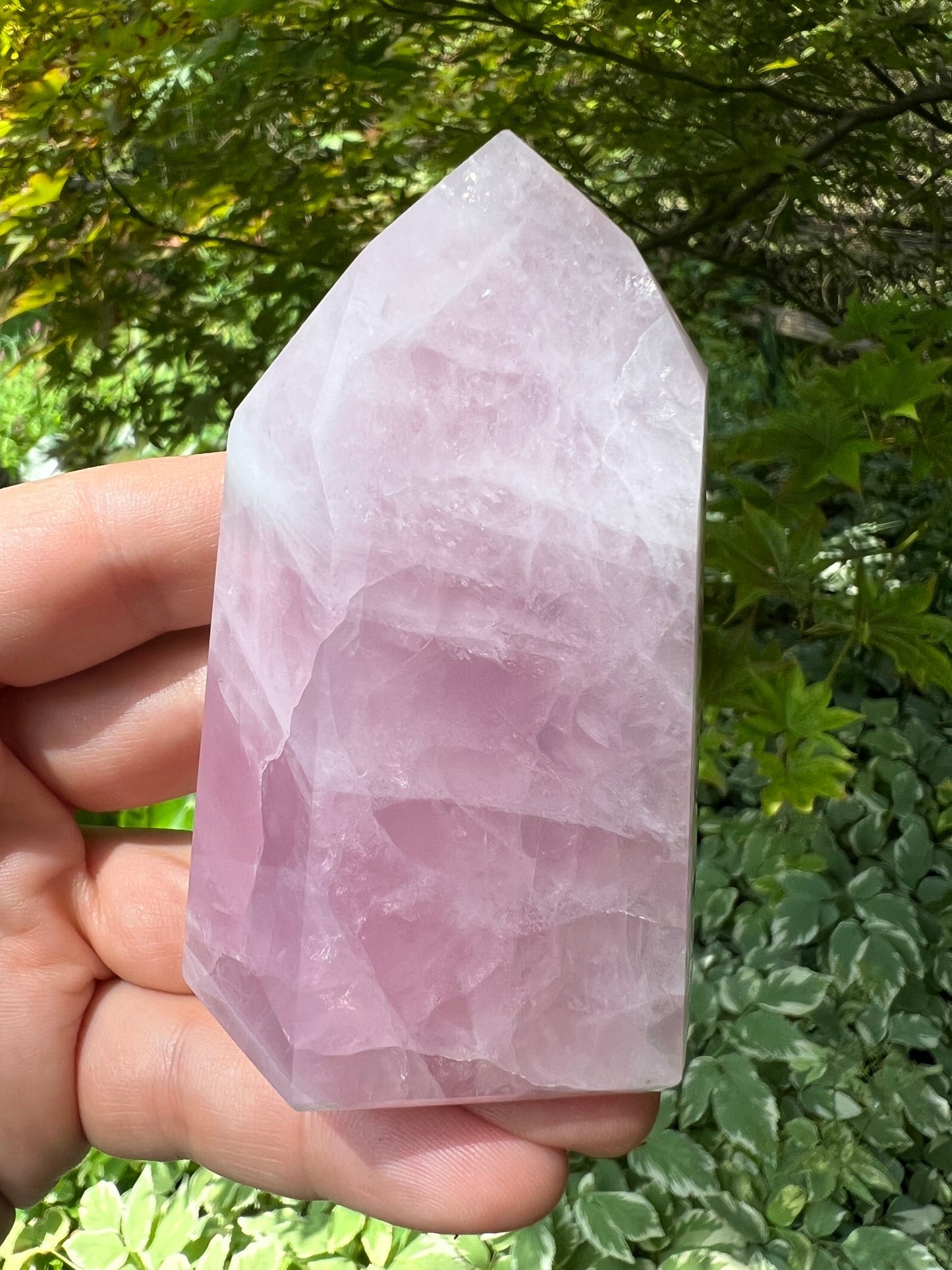 Rose Quartz Tower