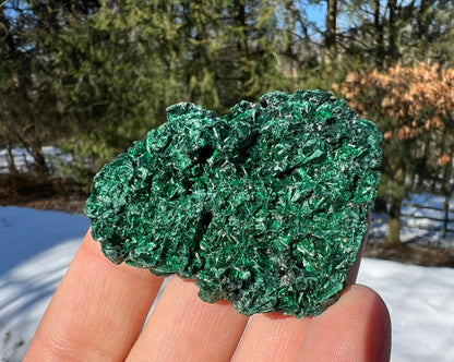 Silk Malachite Specimen #23 - Gem Realm 