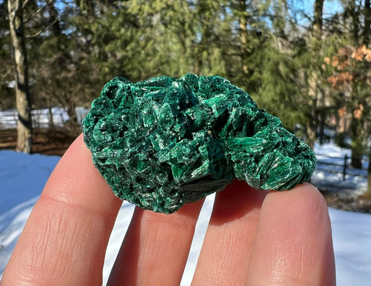Silk Malachite Specimen #18 - Gem Realm 