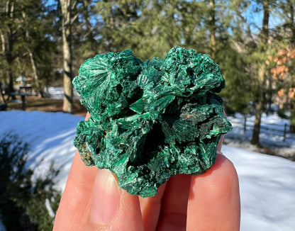 Silk Malachite Specimen #15 - Gem Realm 