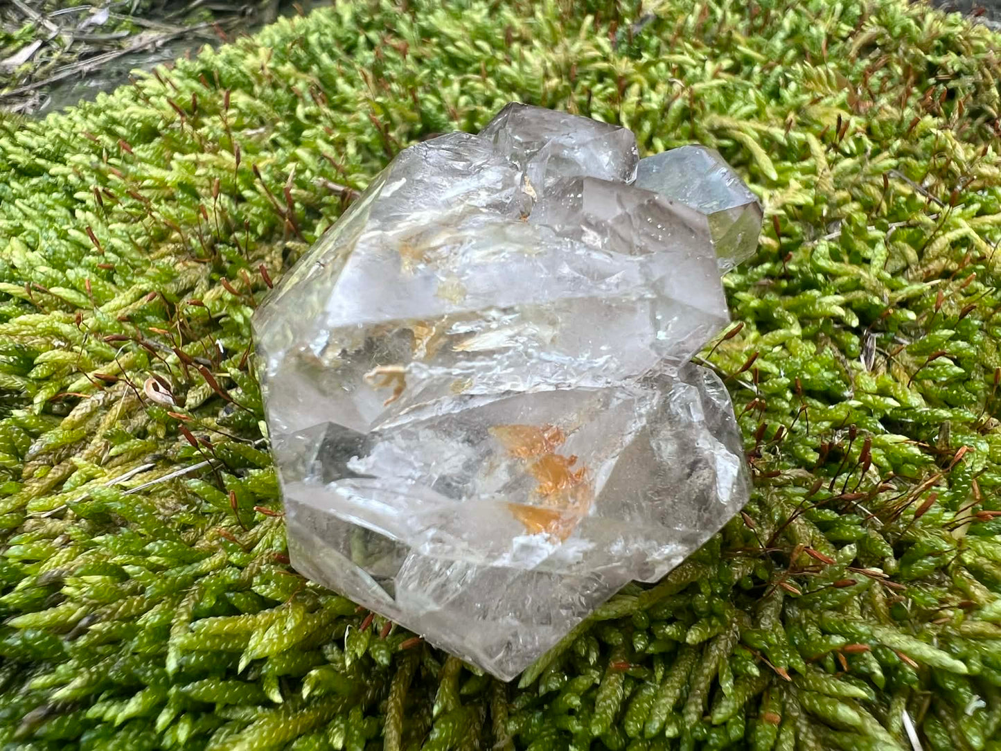 Smoky Elestial Quartz Specimen #12 - Gem Realm 