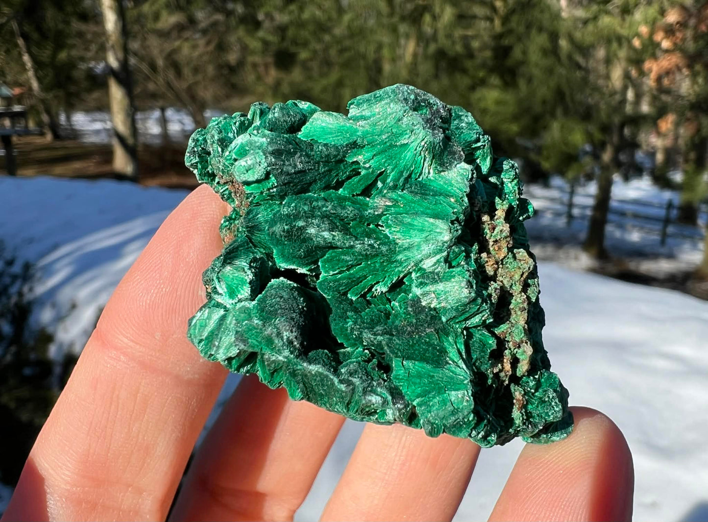 Silk Malachite Specimen #14 - Gem Realm 