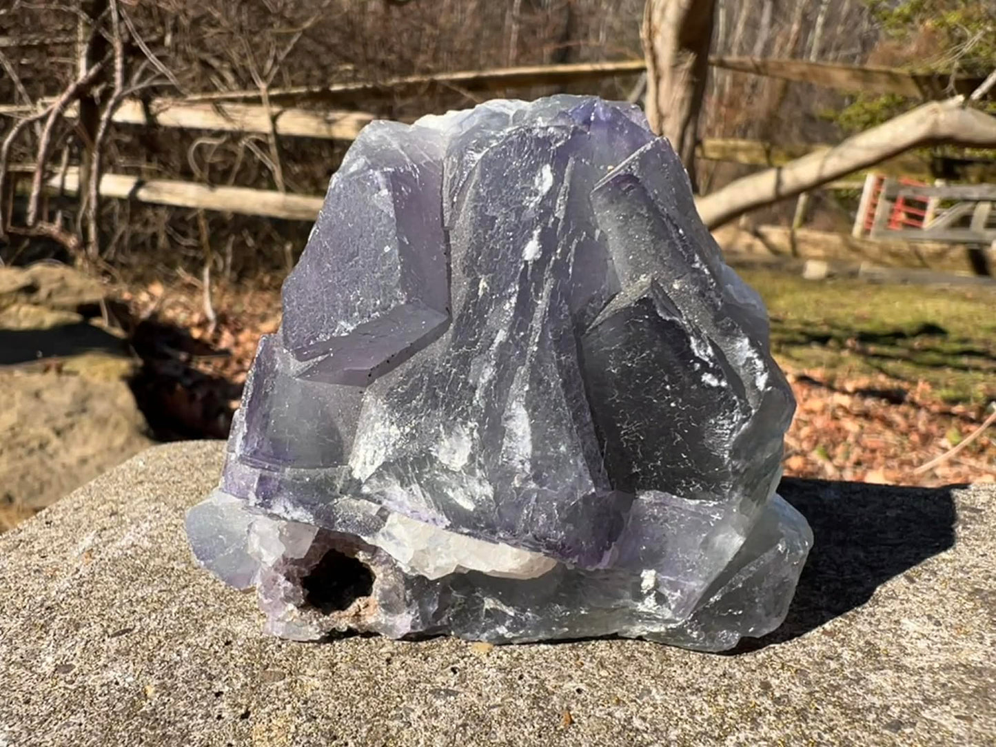 Rainbow Fluorite Specimen - Gem Realm 