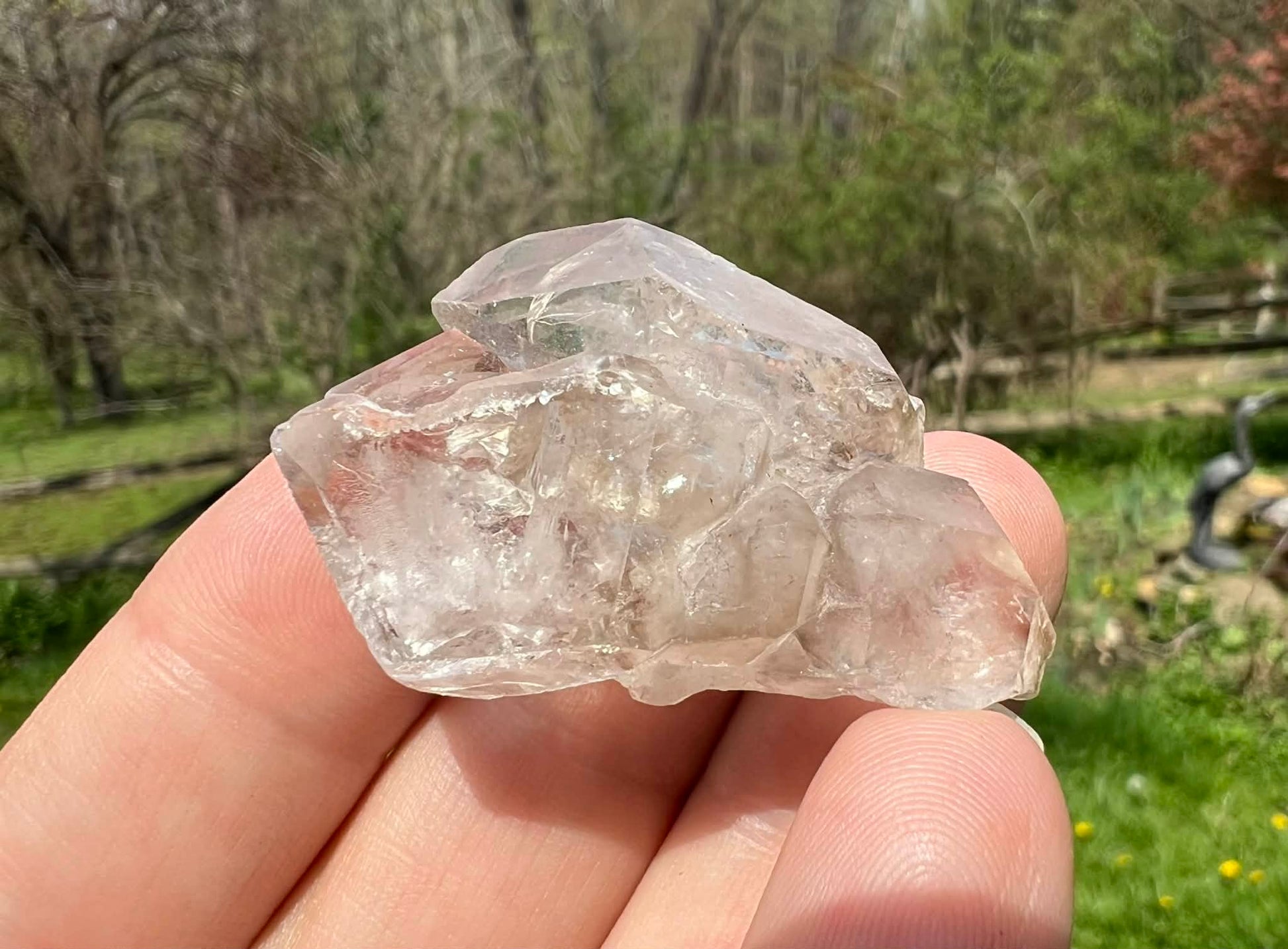 Smoky Elestial Quartz Specimen #11 - Gem Realm 