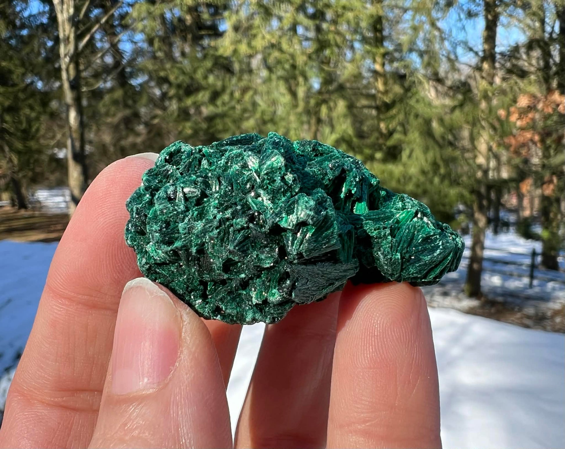 Silk Malachite Specimen #18 - Gem Realm 