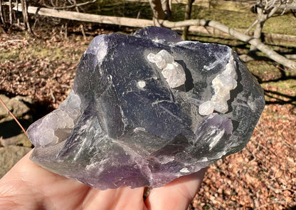 Rainbow Fluorite Specimen - Gem Realm 