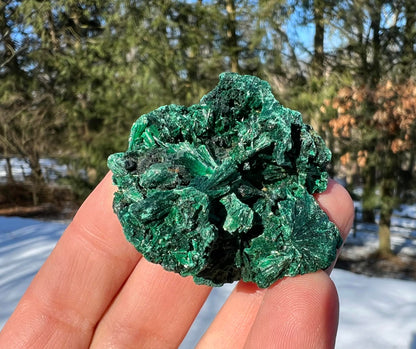 Silk Malachite Specimen #15 - Gem Realm 