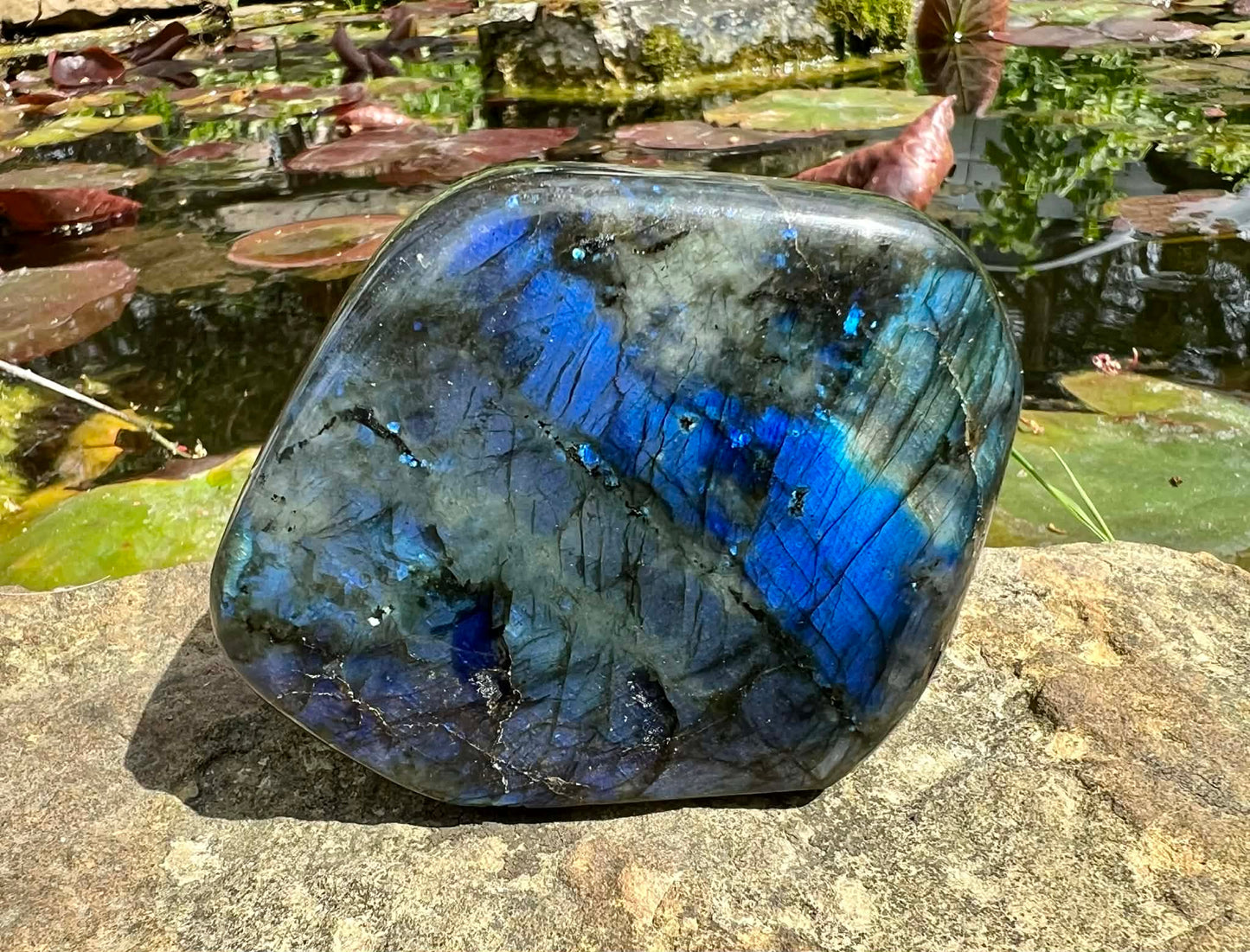 Labradorite Freeform - Gem Realm 