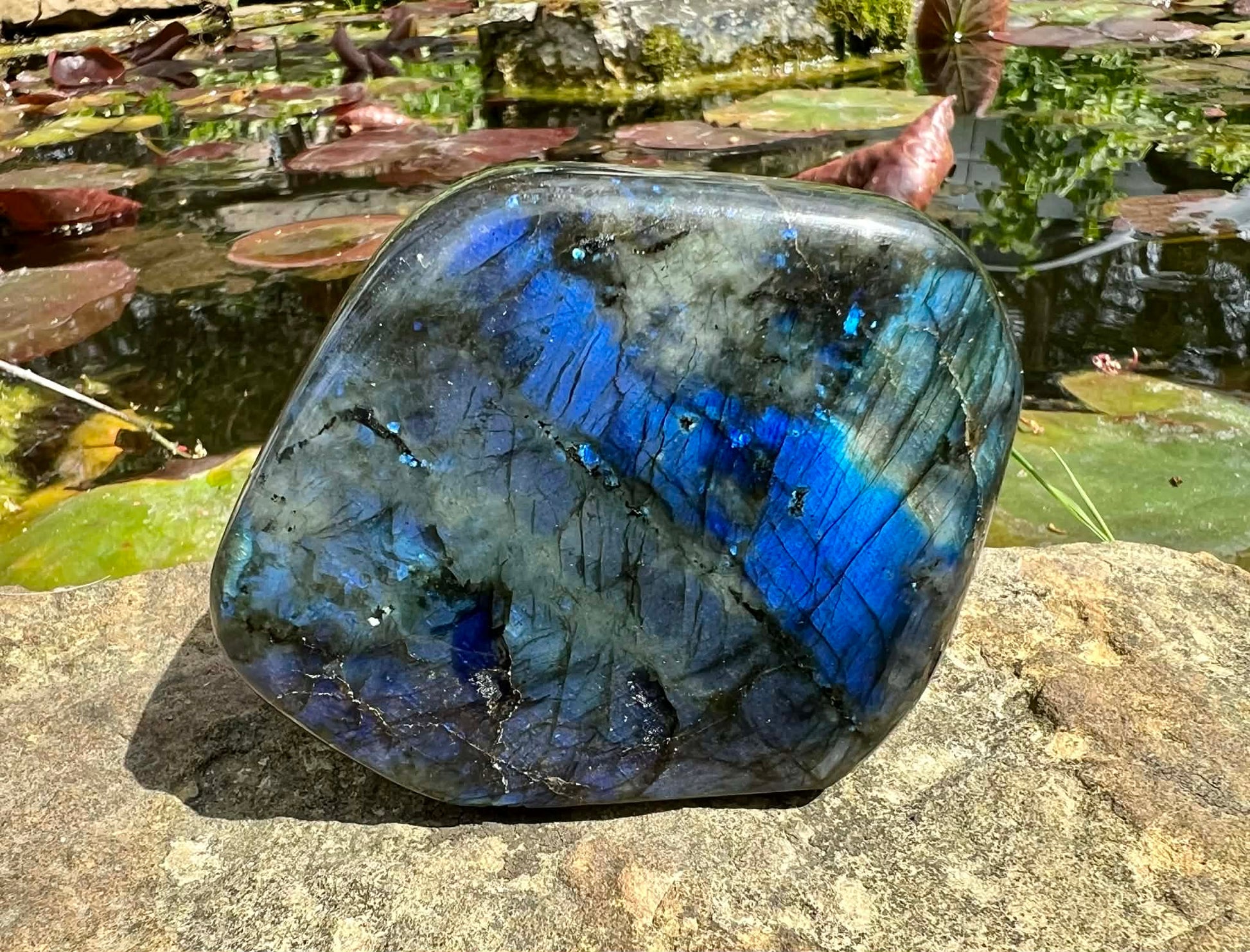 Labradorite Freeform - Gem Realm 