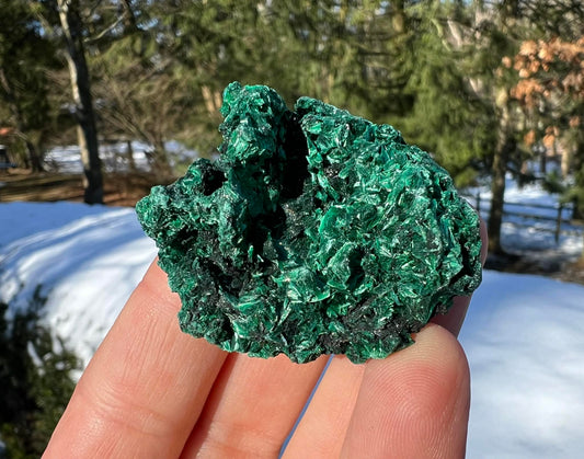 Silk Malachite Specimen #12 - Gem Realm 