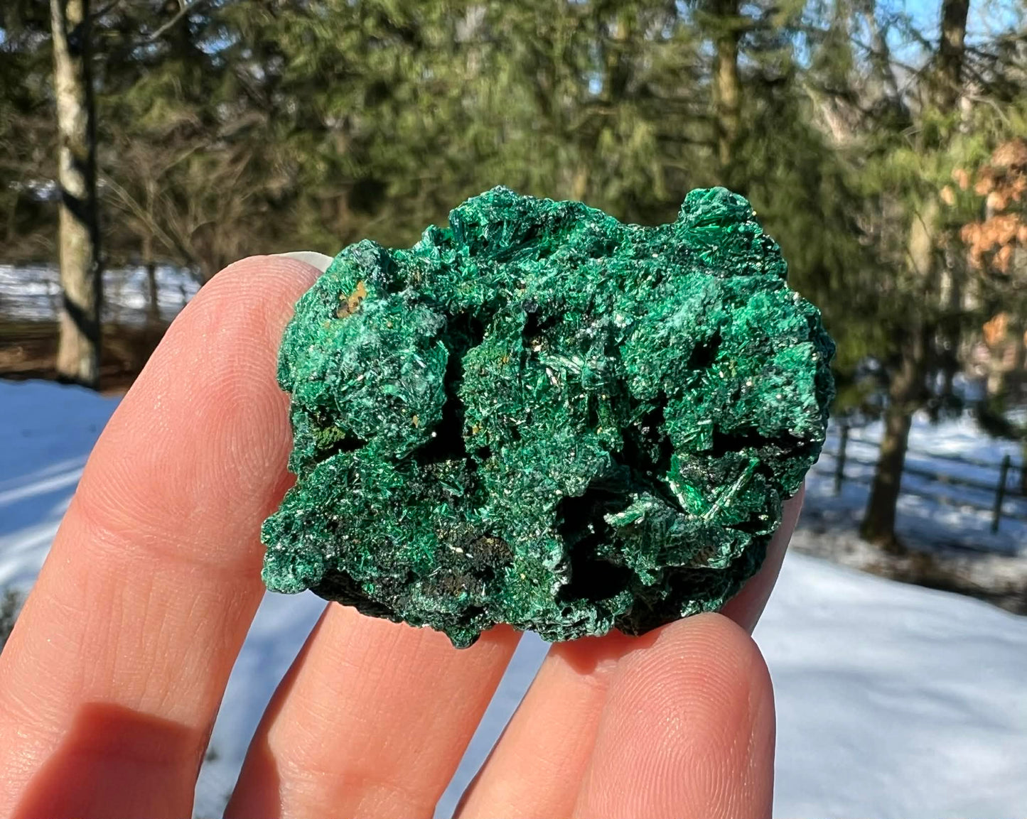Silk Malachite Specimen #15 - Gem Realm 