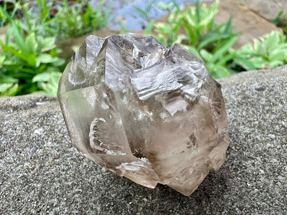 Smoky Elestial Quartz Specimen #13 - Gem Realm 