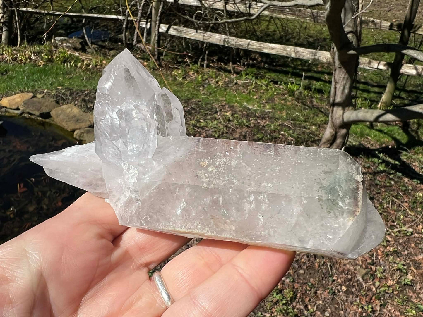 Quartz Crystal Specimen ~ with Chlorite - Gem Realm 