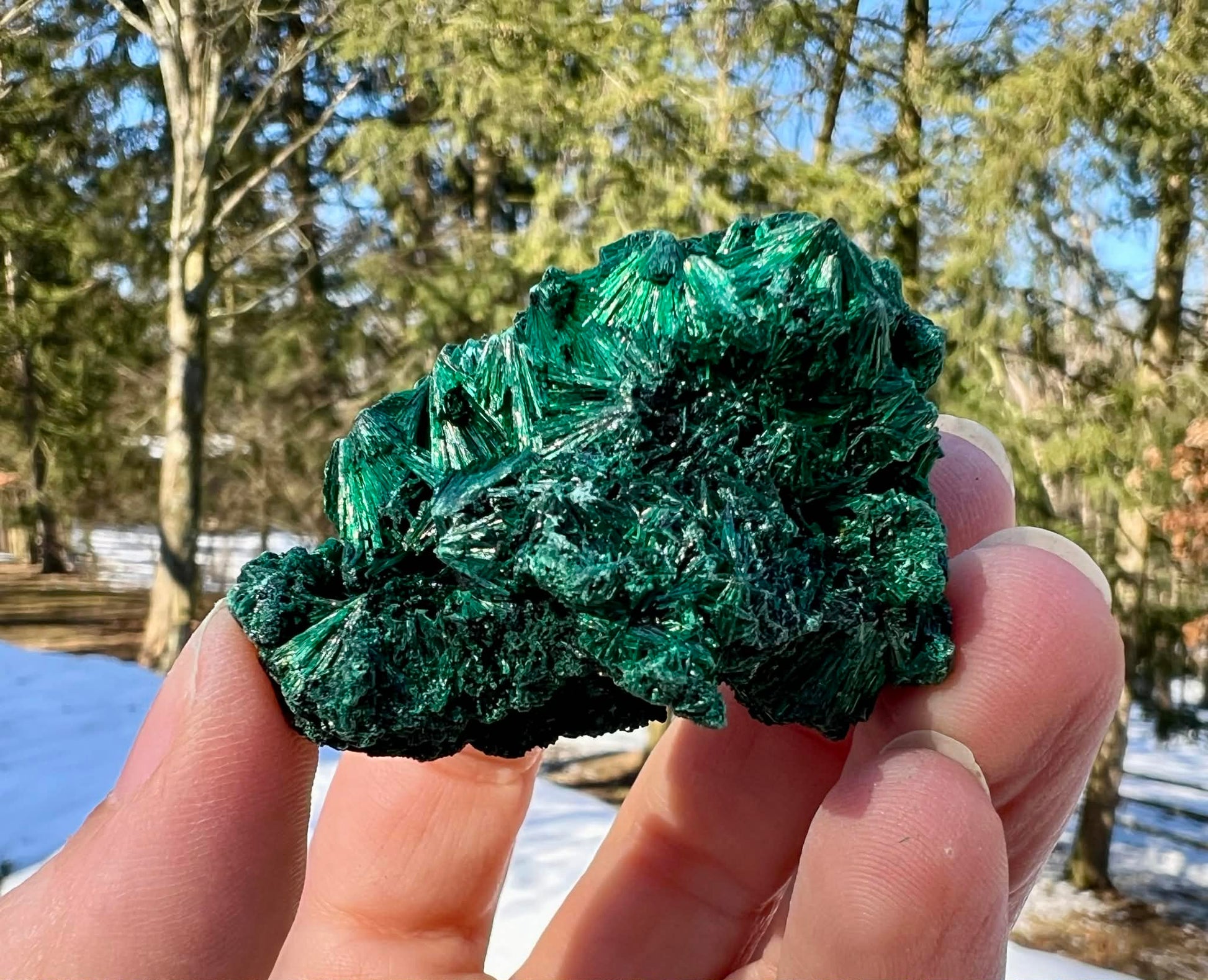Silk Malachite Specimen #20 - Gem Realm 