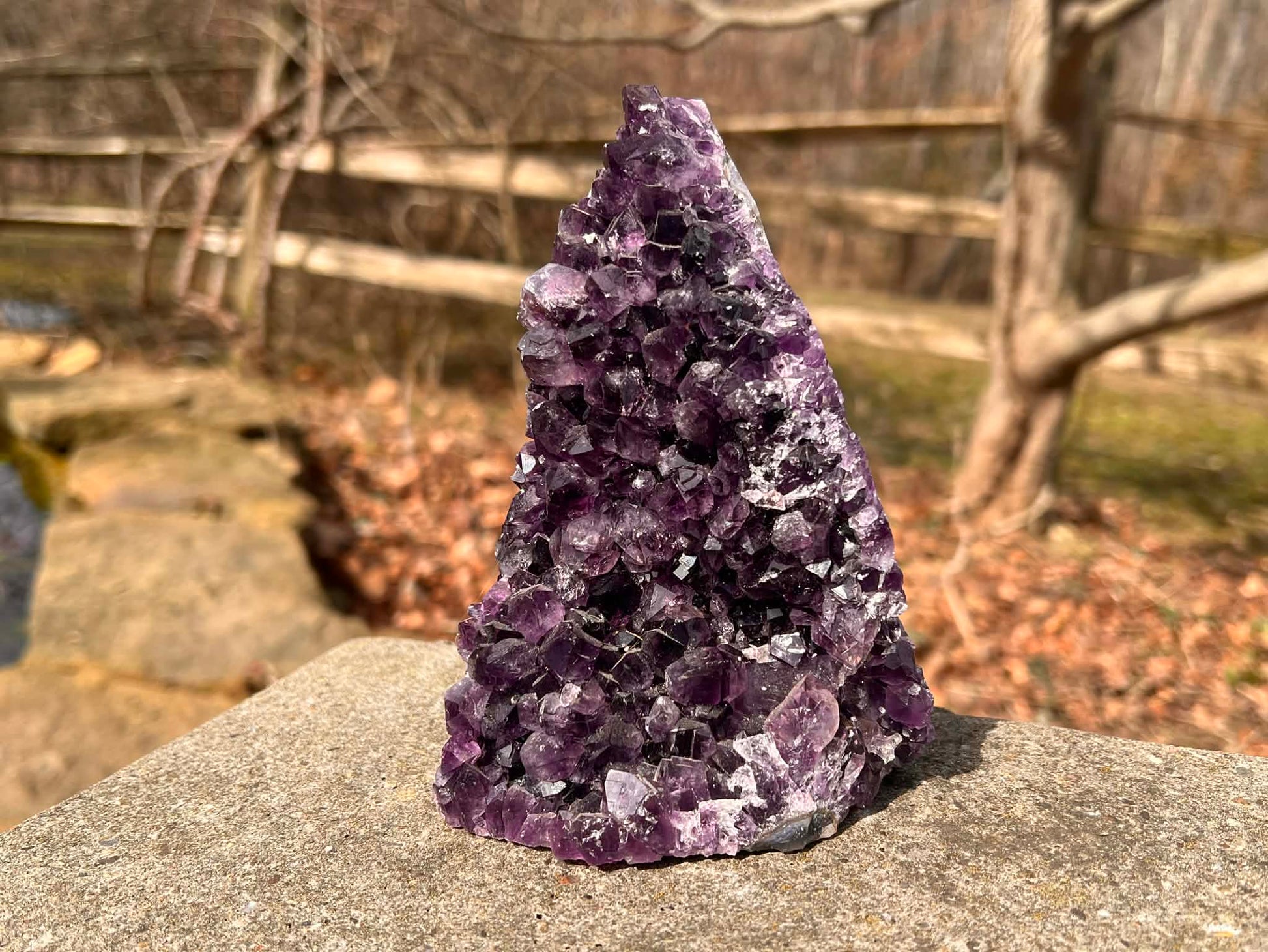 Amethyst Geode - Gem Realm 