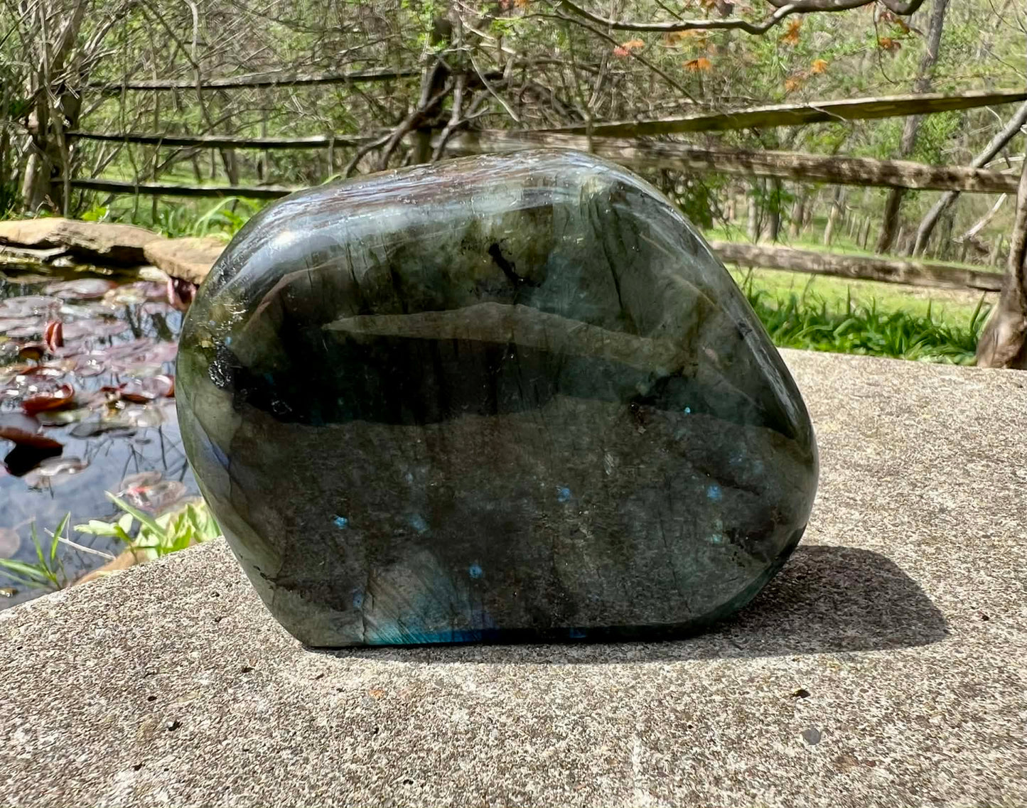 Labradorite Freeform - Gem Realm 
