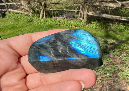 Labradorite Freeform - Mini - Gem Realm 