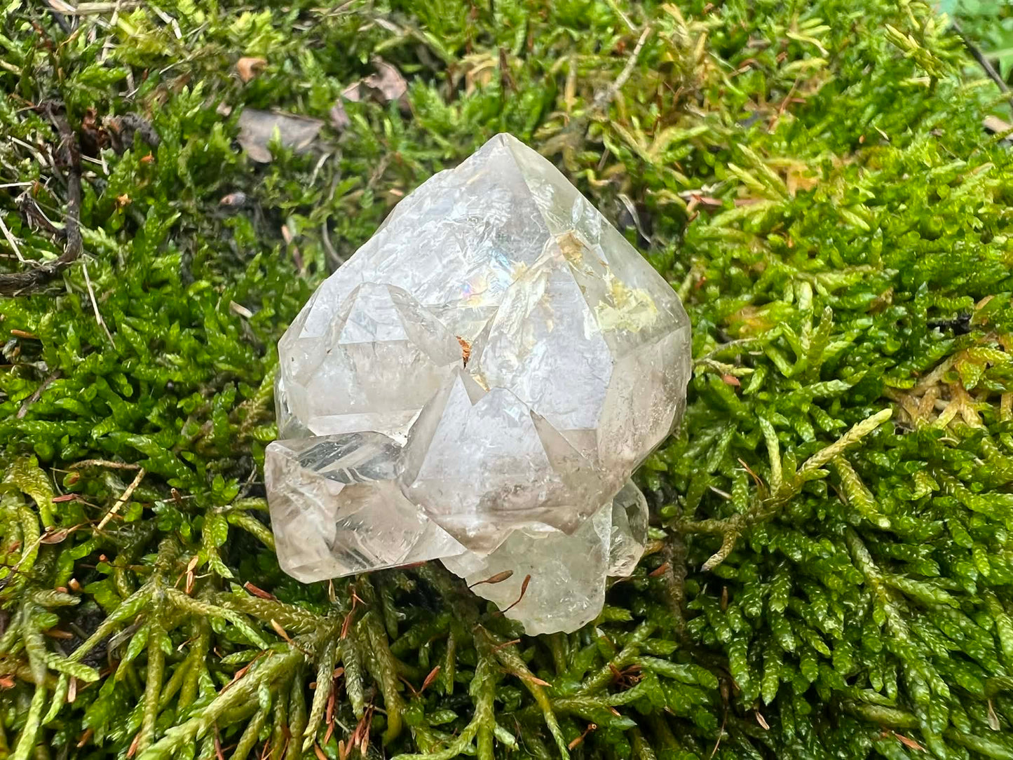 Smoky Elestial Quartz Specimen #12 - Gem Realm 