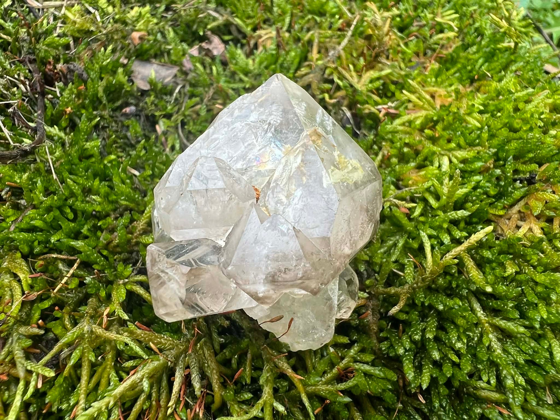 Smoky Elestial Quartz Specimen #12 - Gem Realm 