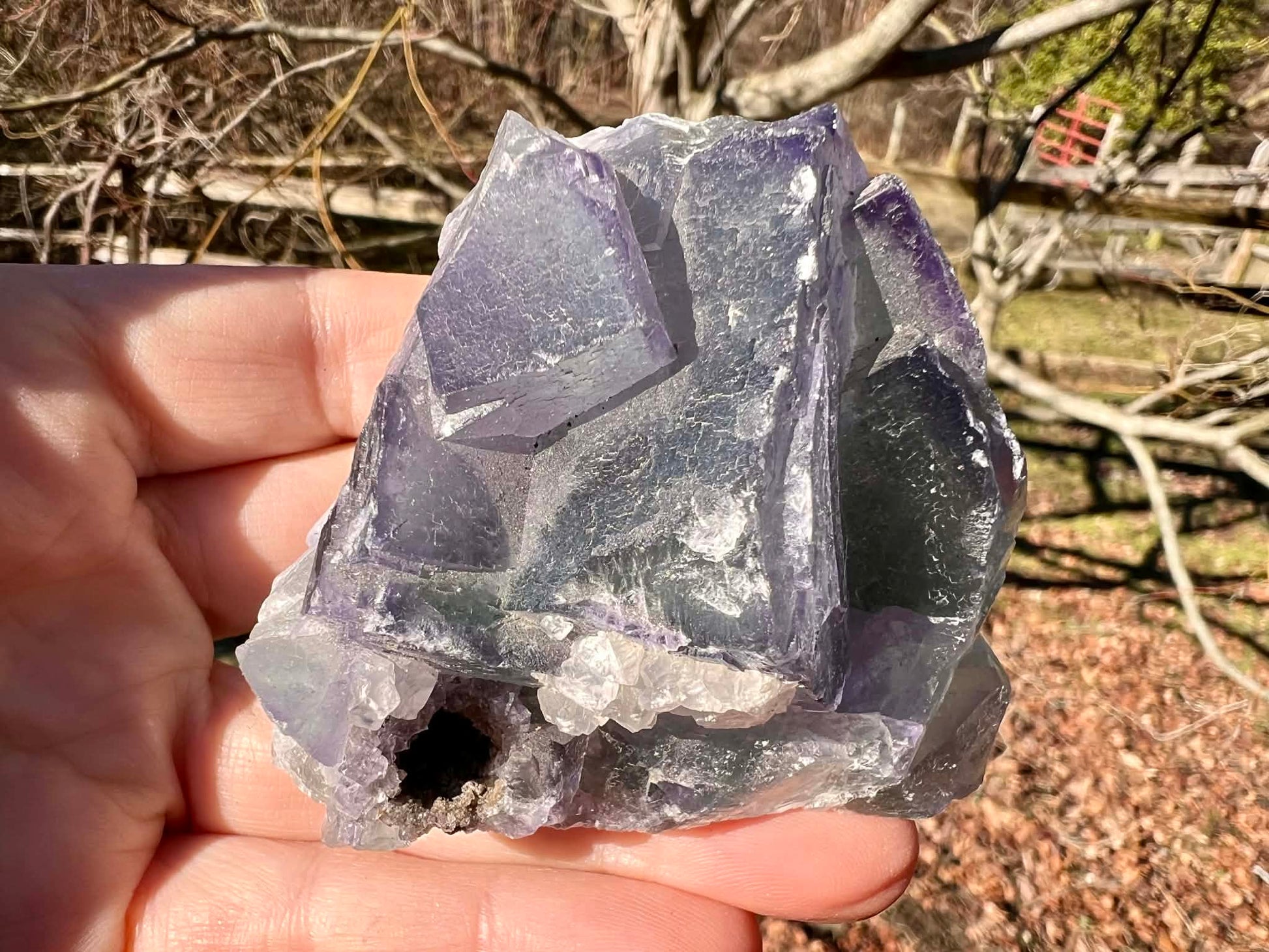 Rainbow Fluorite Specimen - Gem Realm 