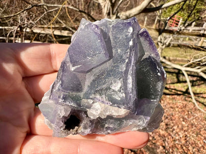 Rainbow Fluorite Specimen - Gem Realm 