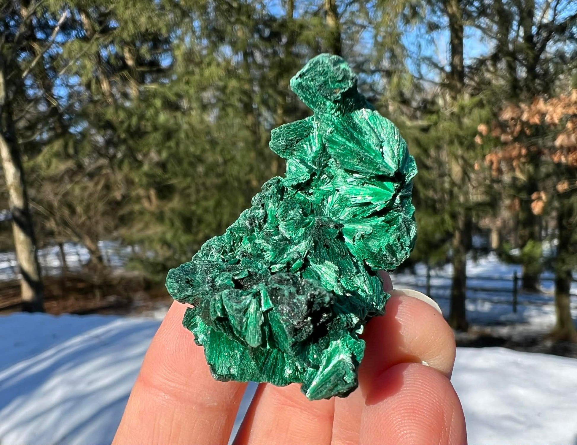 Silk Malachite Specimen #13 - Gem Realm 