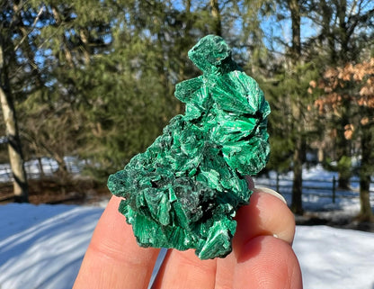 Silk Malachite Specimen #13 - Gem Realm 