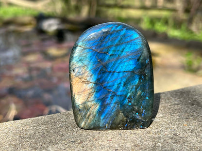Labradorite Freeform - Gem Realm 