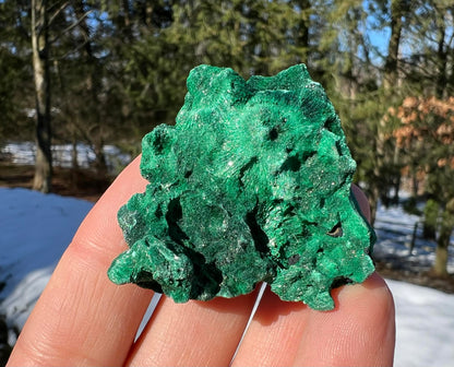 Silk Malachite Specimen #24 - Gem Realm 