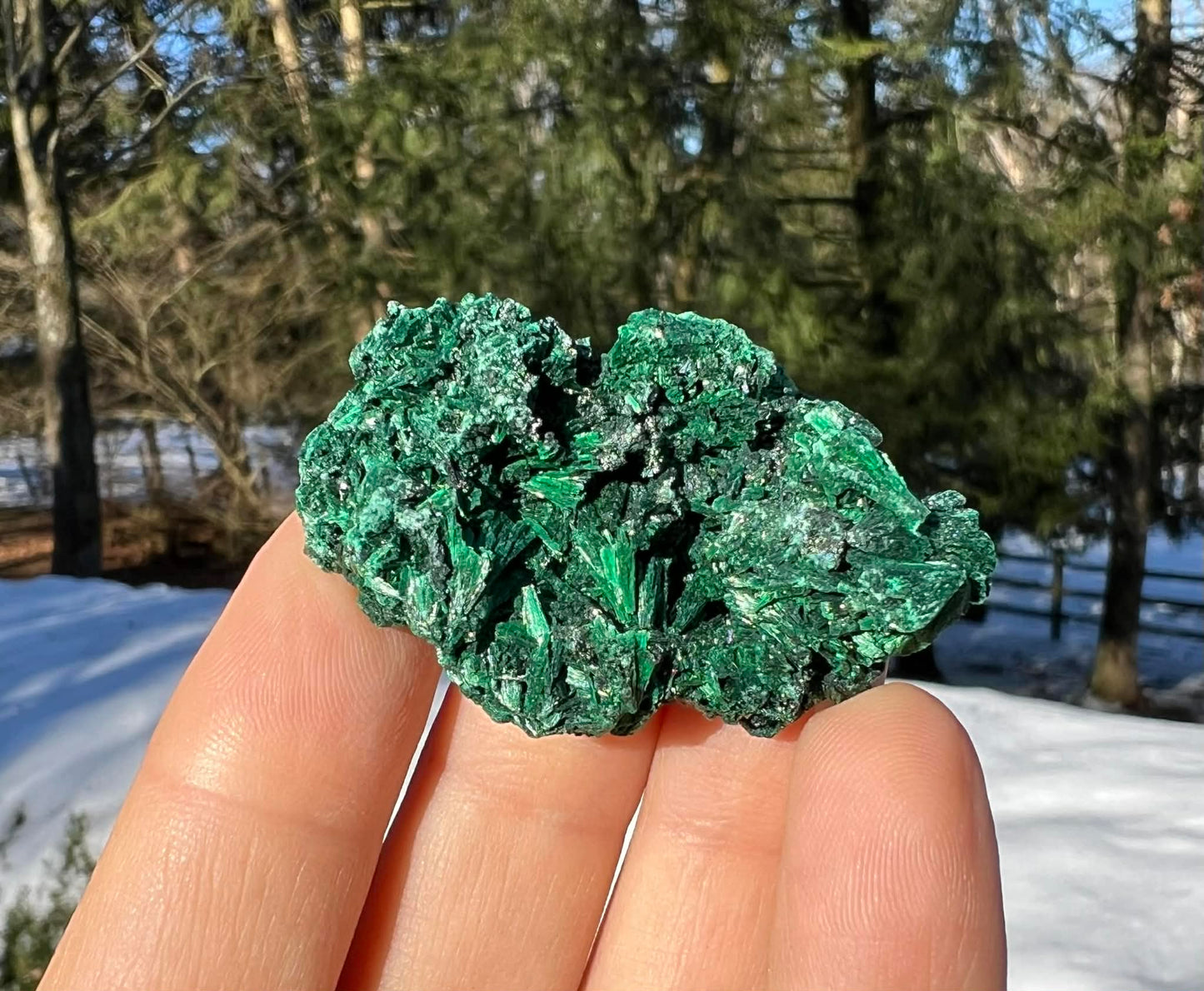 Silk Malachite Specimen #1