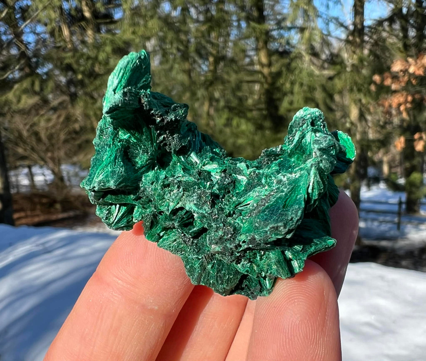 Silk Malachite Specimen #13 - Gem Realm 