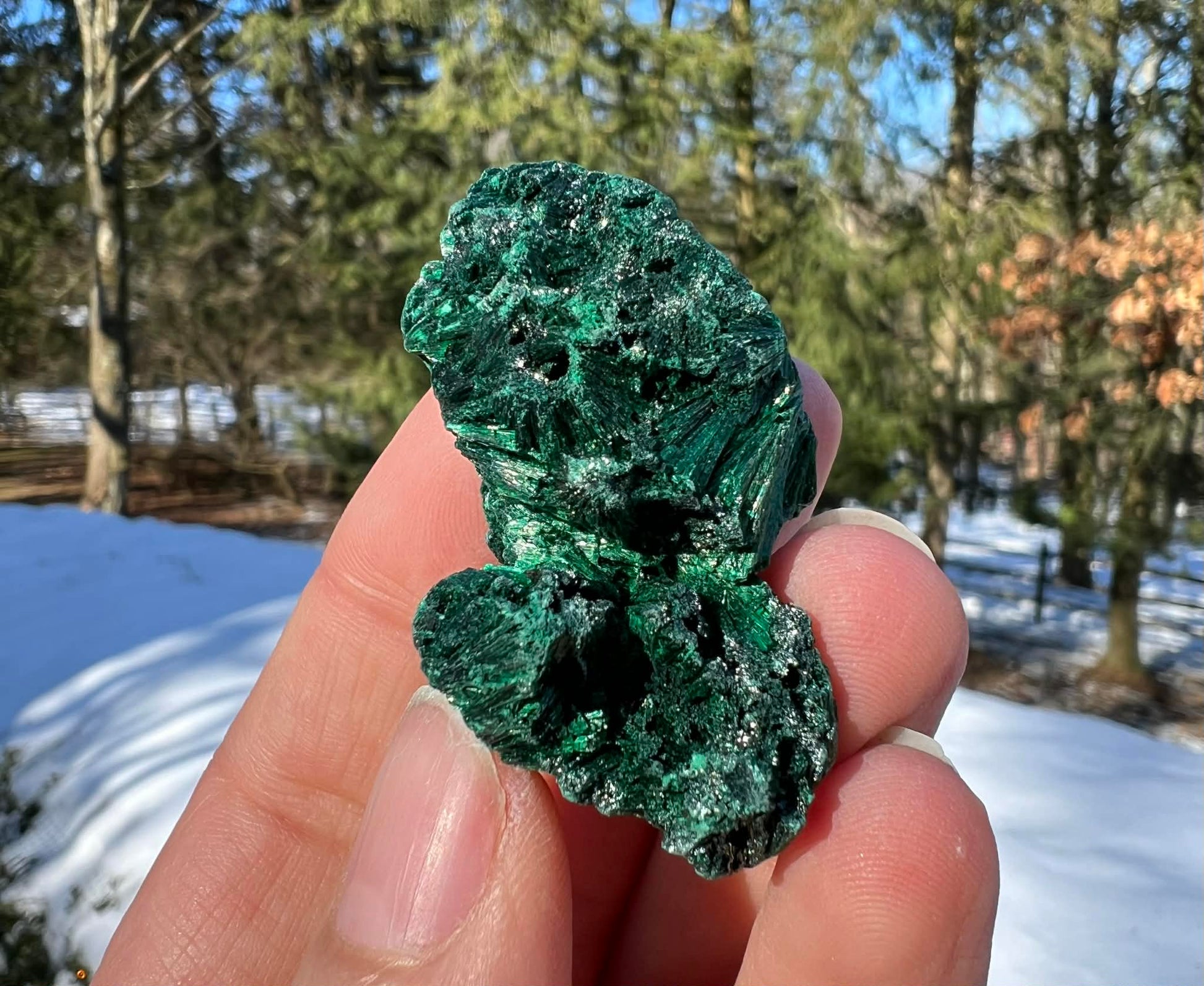 Silk Malachite Specimen #18 - Gem Realm 
