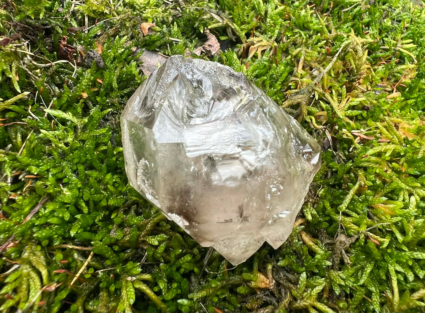 Smoky Elestial Quartz Specimen #13 - Gem Realm 