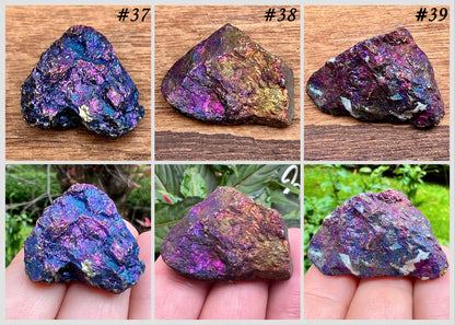 Chalcopyrite ~ Peacock Ore ~ Specimen - Gem Realm 