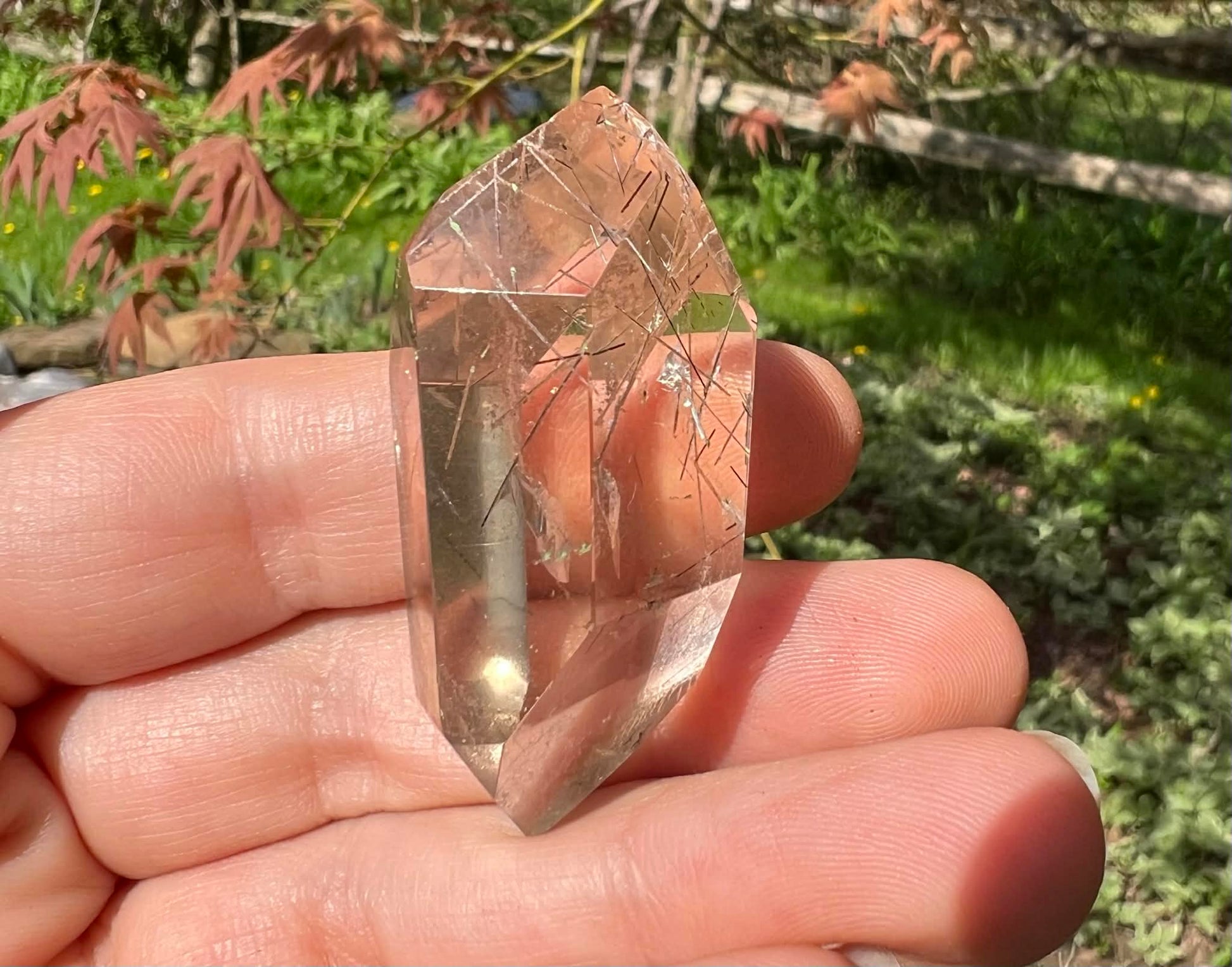 Citrine Double Terminated Polished Point ~ Rutilated - Gem Realm 